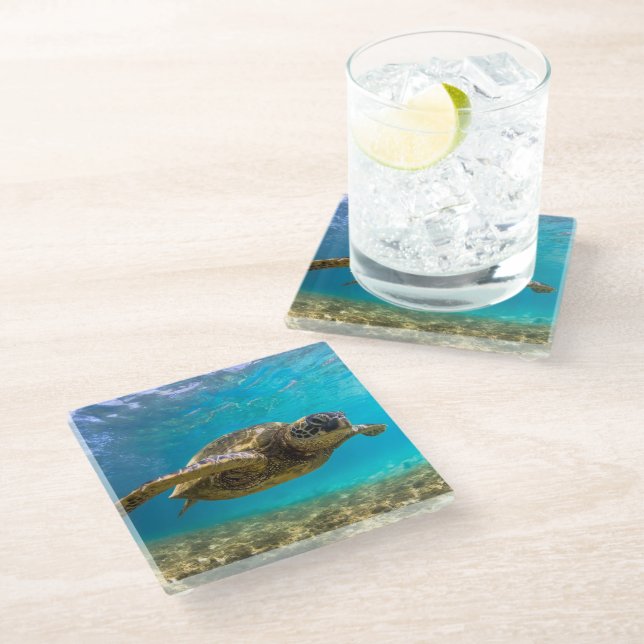 Glass Coaster-Sea Turtle Glass Coaster (Angled)