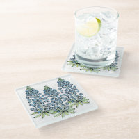Glass Coasters - Texas Blue Bonnet Lupine