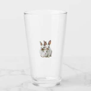 glass flap