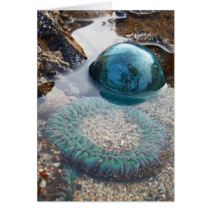 Glass float and anemone