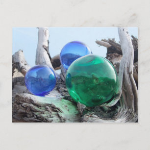 Glass Floats on Driftwood Postcard