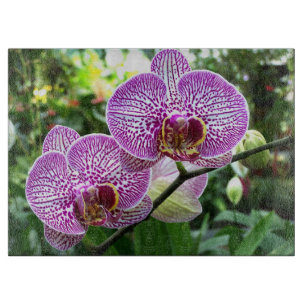 Glass Kitchen Cutting Board - Purple Fr Orchids