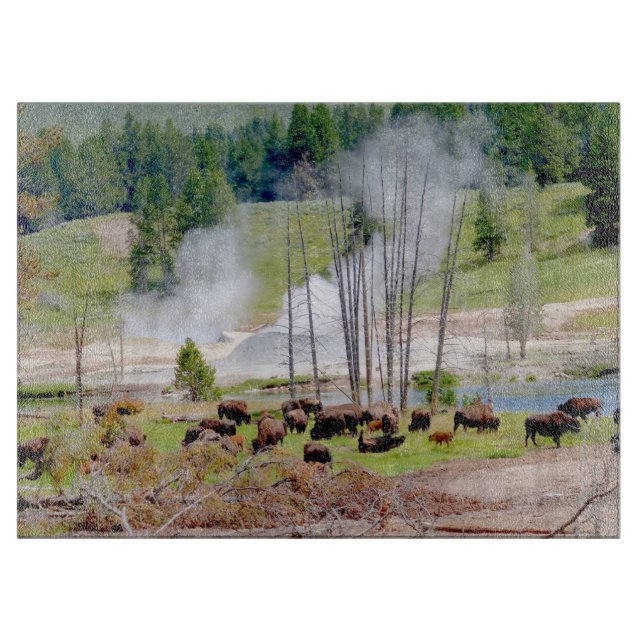 Glass Kitchen Cutting Board - Yellowstone Bison (Front)