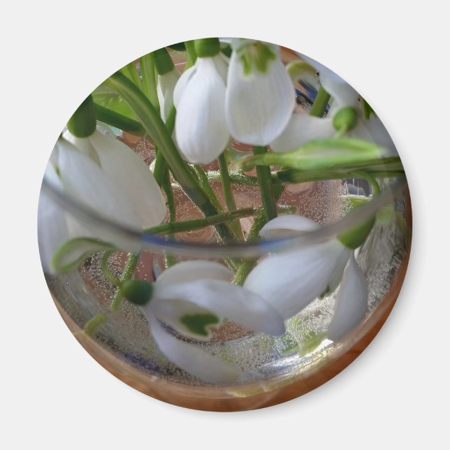 glass of snowdrops magnet (Front)