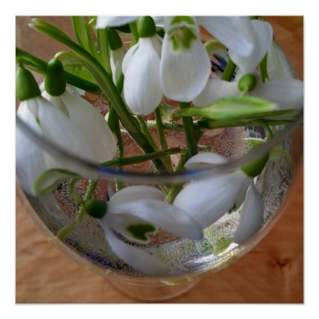 glass of snowdrops poster (Front)