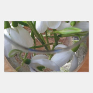 glass of snowdrops rectangular sticker