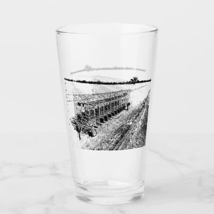 Glass Tumbler