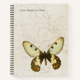 Glass-Winged Enigma – Clearwing Swallowtail Notebook