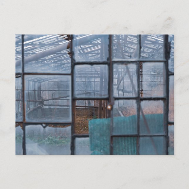 Glasshouse fine art postcard (Front)