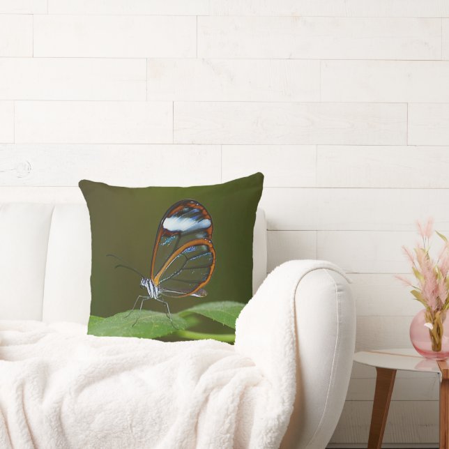 Glasswing Butterfly Throw Pillow (Couch)