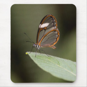 Glasswinged butterfly on a leaf  mouse mat