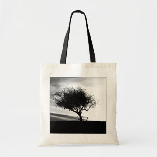 Glastonbury Hawthorn. Tree. Black and White. Tote Bag