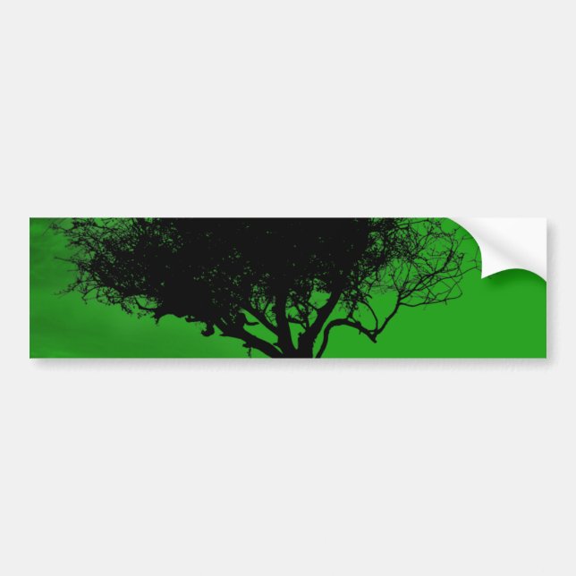 Glastonbury Hawthorn. Tree on Hill. Green Black. Bumper Sticker (Front)
