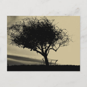 Glastonbury Hawthorn. Tree on Hill. Sepia Colour. Postcard