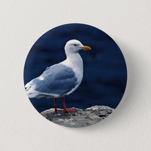 Glaucous Gull 6 Cm Round Badge (Front)