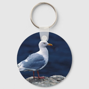 Glaucous Gull Key Ring