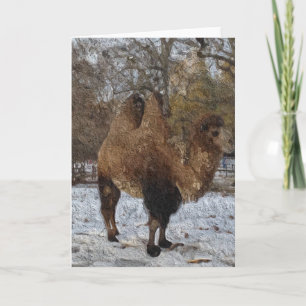 Glazed Camel Art #8083 Card