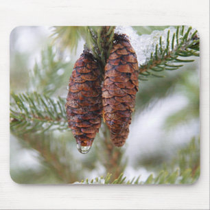 Glazed Cones Mouse Mat