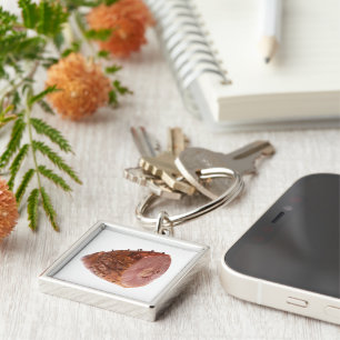 Glazed Ham Key Ring