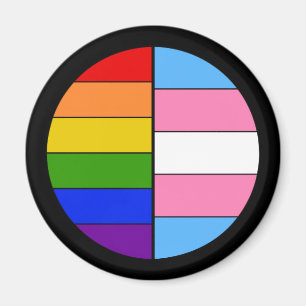 GLBT Solidarity Magnet