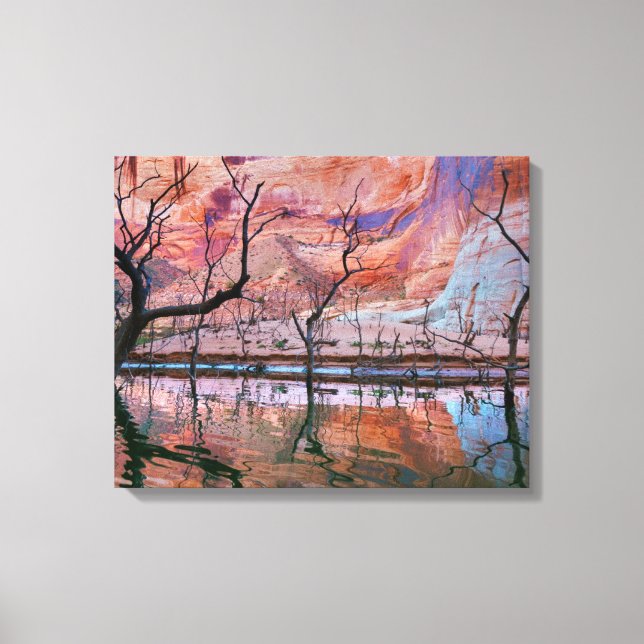 Glen Canyon National Recreation Area, Utah Canvas Print (Front)