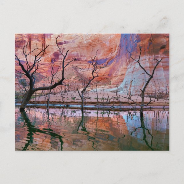 Glen Canyon National Recreation Area, Utah Postcard (Front)