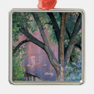 Glen Canyon National Recreation Area, Utah. USA. Metal Tree Decoration