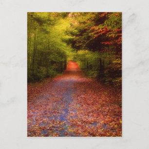 Glen Forest Postcard