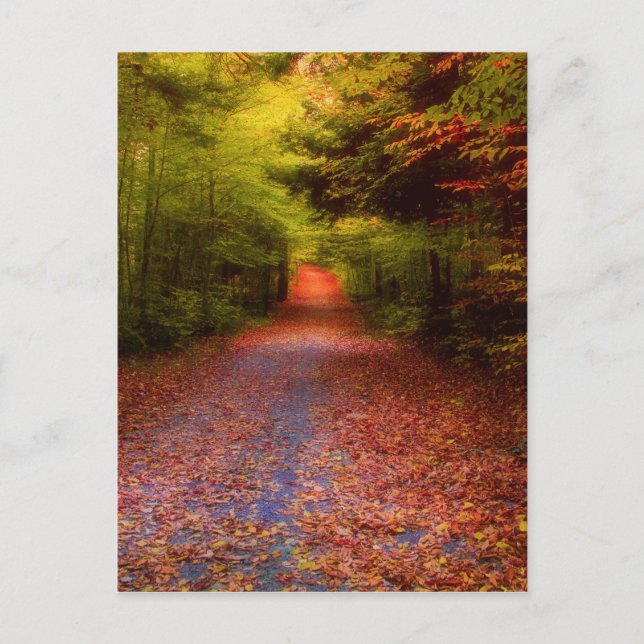 Glen Forest Postcard (Front)