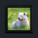 Glen of Imaal terrier dog jewellery box trinket<br><div class="desc">Photo portrait of a beautiful glen of imall terrier dog trinket box,   gift box,  jewellery box.  great gift idea for dog lovers</div>
