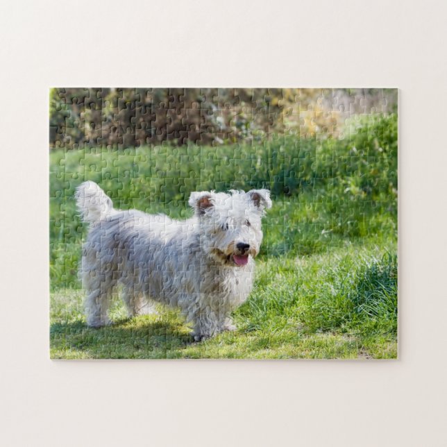 Glen of Imaal Terrier dog Jigsaw Puzzle (Horizontal)
