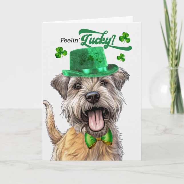 Glen of Imaal Terrier Dog Lucky St Patrick's Day Holiday Card (Front)