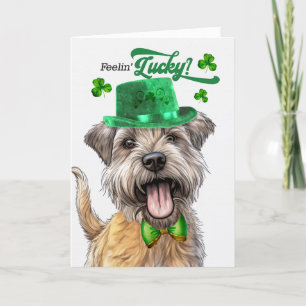 Glen of Imaal Terrier Dog Lucky St Patrick's Day Holiday Card