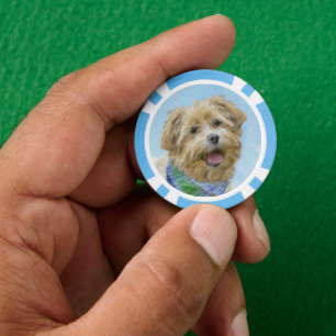 Glen of Imaal Terrier Painting - Original Dog Art Poker Chips