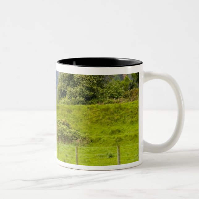 Glendalough, Ireland. Glendalough is one of Two-Tone Coffee Mug (Right)