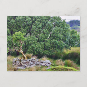 Glengesh Pass In Ireland Landscape Postcard