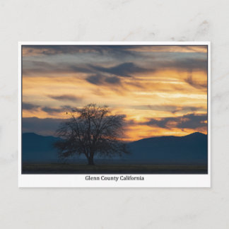 Glenn County California Sunset Postcard