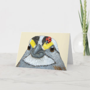 Glenn the sparrow card