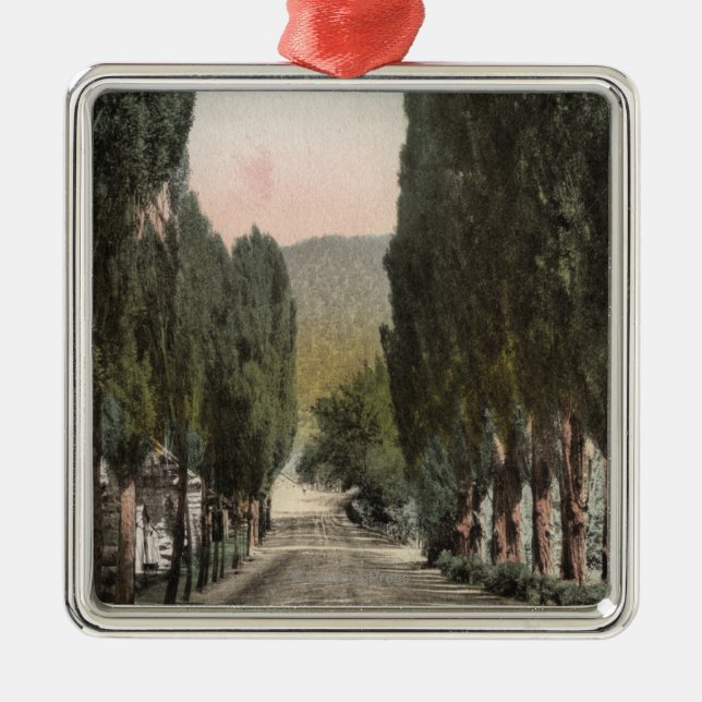 Glenwood Springs, Colorado Metal Tree Decoration (Front)