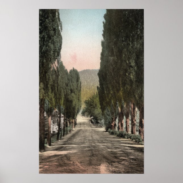 Glenwood Springs, Colorado Poster (Front)