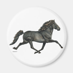 Gletta Magnet
