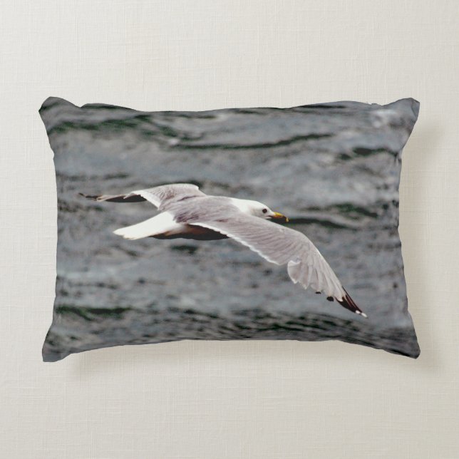 Glide Grade A Cotton Accent Pillow 16" x 12" (Front)