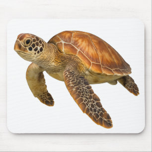 Glider of the Blue Mouse Mat