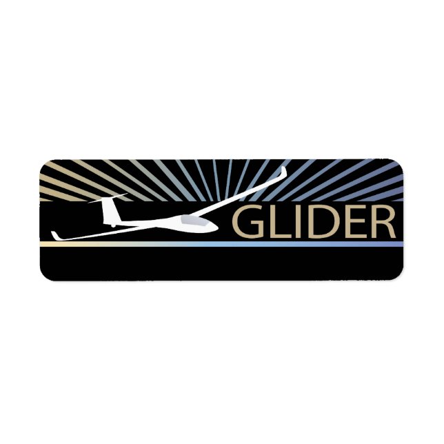 Glider Sailplane Aircraft (Front)