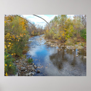 Gliding Reflections Poster