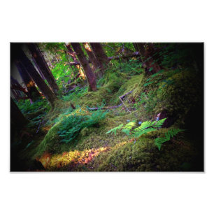 Glimpse into Eden Photo Print