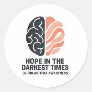 Glioblastoma Awareness Brain Hope Darkest Times _1 Classic Round Sticker