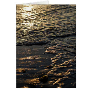 Glistening Beach Morning
