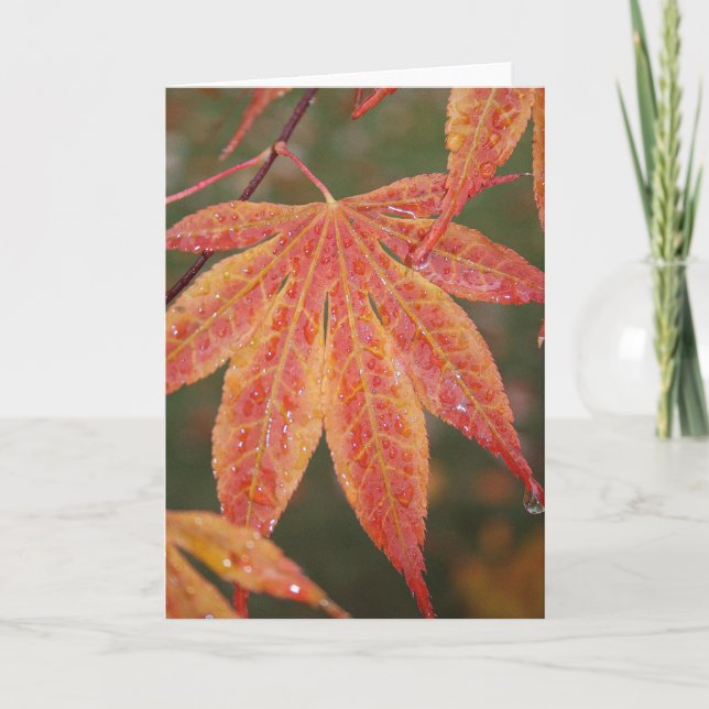 Glistening Leaves Card (Front)