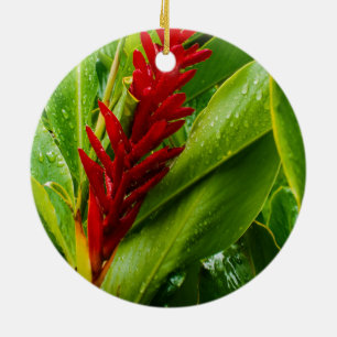 Glistening Red Ginger Flower and Rain-Kissed Leave Ceramic Tree Decoration